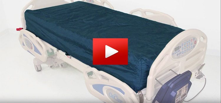 Dolphin Bed Overview video