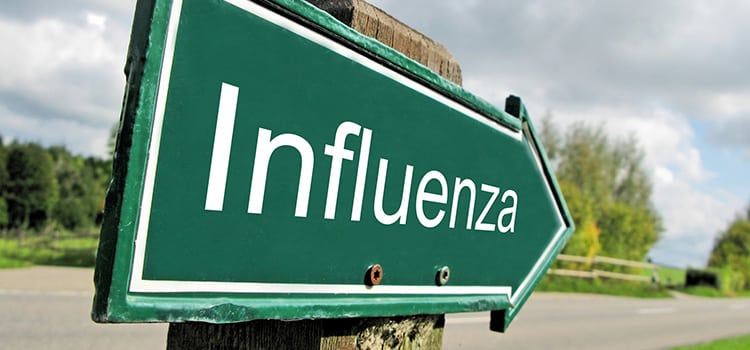 A road sign in the shape of an arrow that says "Influenza"