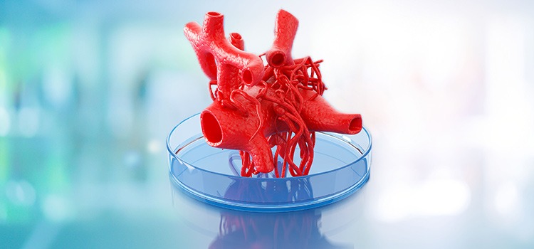 3D bioprinted heart sitting in a petri dish - changing healthcare technology