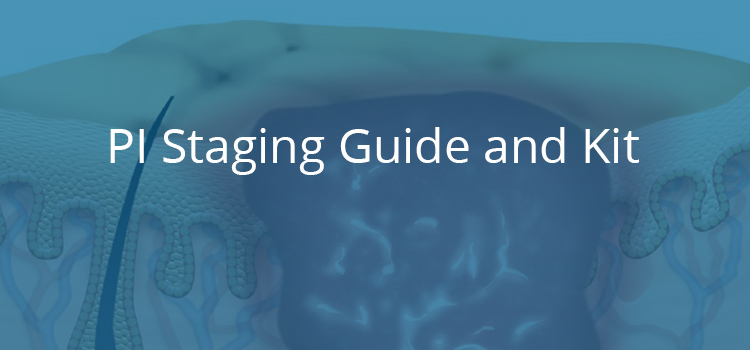 pressure injury staging guide and kit